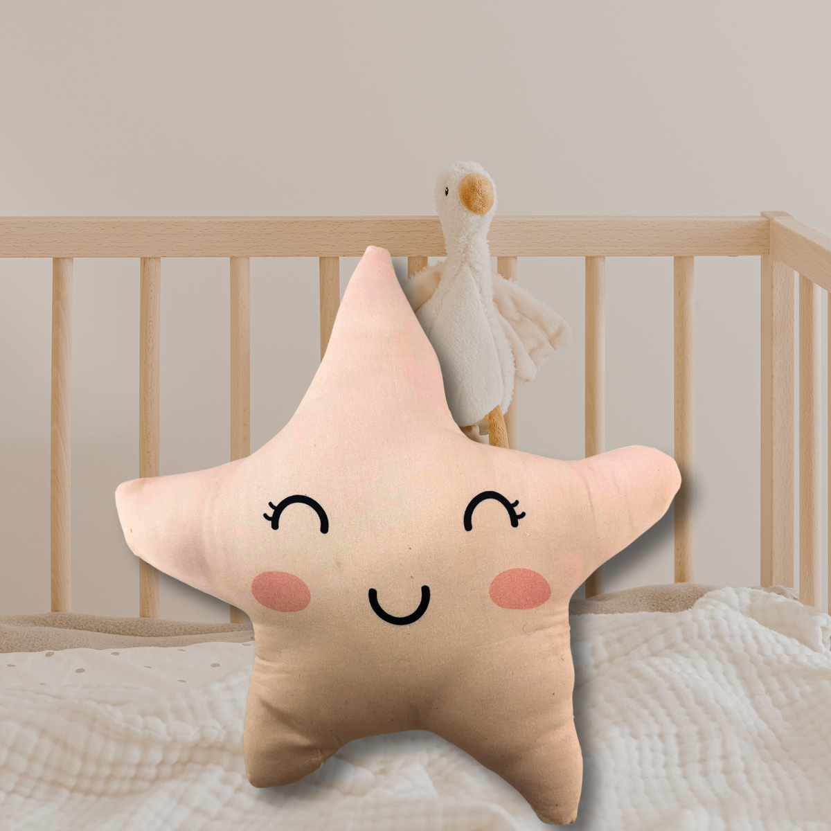 Star Shape Toy